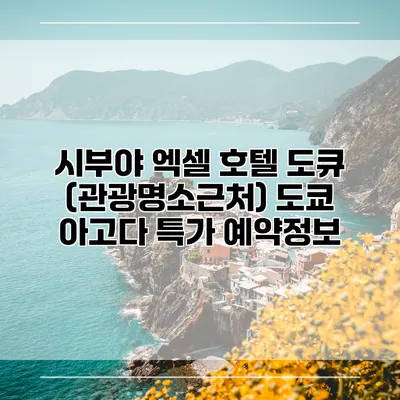 시부야 엑셀 호텔 도큐 (관광명소근처) 도쿄 아고다 특가 예약정보