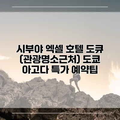 시부야 엑셀 호텔 도큐 (관광명소근처) 도쿄 아고다 특가 예약팁