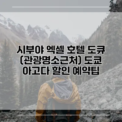 시부야 엑셀 호텔 도큐 (관광명소근처) 도쿄 아고다 할인 예약팁