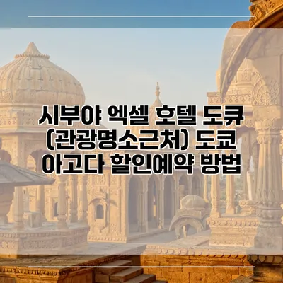 시부야 엑셀 호텔 도큐 (관광명소근처) 도쿄 아고다 할인예약 방법