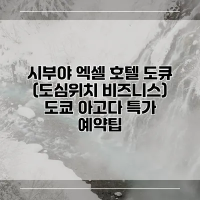 시부야 엑셀 호텔 도큐 (도심위치 비즈니스) 도쿄 아고다 특가 예약팁