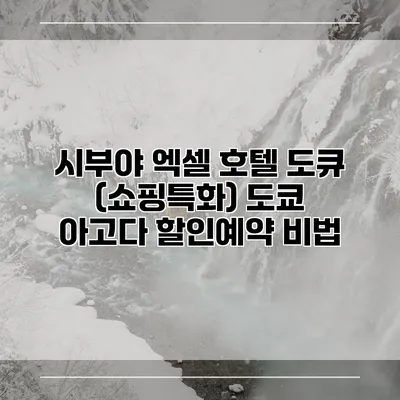시부야 엑셀 호텔 도큐 (쇼핑특화) 도쿄 아고다 할인예약 비법