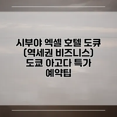 시부야 엑셀 호텔 도큐 (역세권 비즈니스) 도쿄 아고다 특가 예약팁