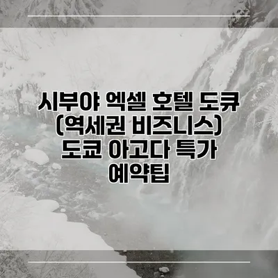 시부야 엑셀 호텔 도큐 (역세권 비즈니스) 도쿄 아고다 특가 예약팁
