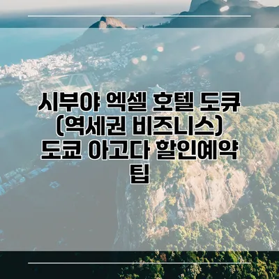 시부야 엑셀 호텔 도큐 (역세권 비즈니스) 도쿄 아고다 할인예약 팁