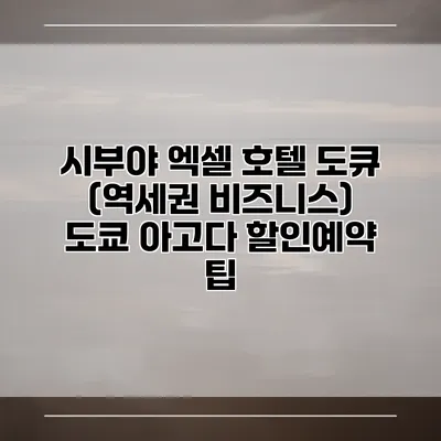시부야 엑셀 호텔 도큐 (역세권 비즈니스) 도쿄 아고다 할인예약 팁