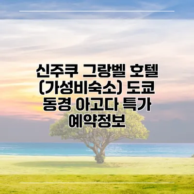 신주쿠 그랑벨 호텔 (가성비숙소) 도쿄 동경 아고다 특가 예약정보