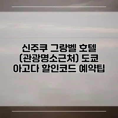 신주쿠 그랑벨 호텔 (관광명소근처) 도쿄 아고다 할인코드 예약팁