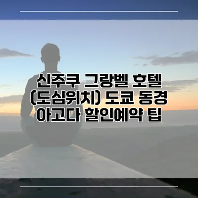 신주쿠 그랑벨 호텔 (도심위치) 도쿄 동경 아고다 할인예약 팁
