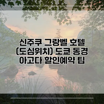 신주쿠 그랑벨 호텔 (도심위치) 도쿄 동경 아고다 할인예약 팁
