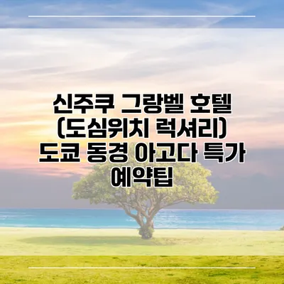 신주쿠 그랑벨 호텔 (도심위치 럭셔리) 도쿄 동경 아고다 특가 예약팁
