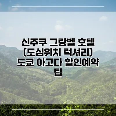 신주쿠 그랑벨 호텔 (도심위치 럭셔리) 도쿄 아고다 할인예약 팁