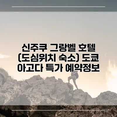 신주쿠 그랑벨 호텔 (도심위치 숙소) 도쿄 아고다 특가 예약정보