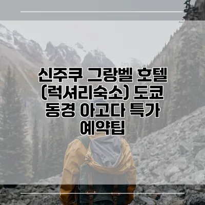 신주쿠 그랑벨 호텔 (럭셔리숙소) 도쿄 동경 아고다 특가 예약팁