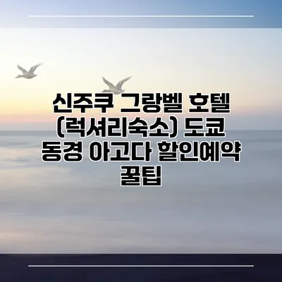 신주쿠 그랑벨 호텔 (럭셔리숙소) 도쿄 동경 아고다 할인예약 꿀팁