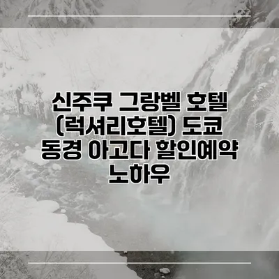신주쿠 그랑벨 호텔 (럭셔리호텔) 도쿄 동경 아고다 할인예약 노하우