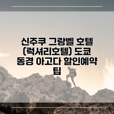 신주쿠 그랑벨 호텔 (럭셔리호텔) 도쿄 동경 아고다 할인예약 팁