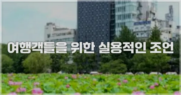 여행객들을 위한 실용적인 조언