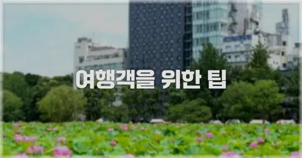 여행객을 위한 팁