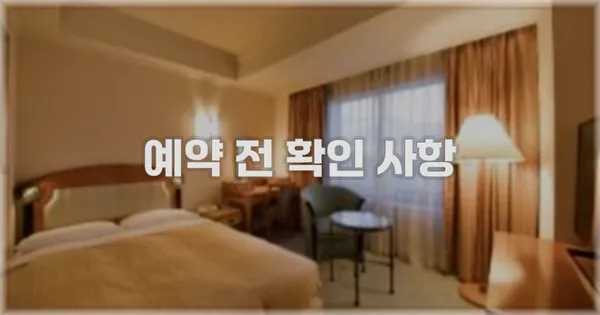 예약 전 확인 사항