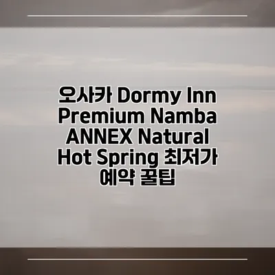 오사카 Dormy Inn Premium Namba ANNEX Natural Hot Spring 최저가 예약 꿀팁