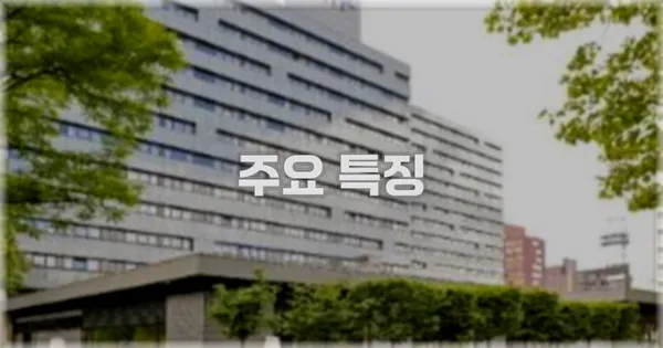 ✨ 주요 특징