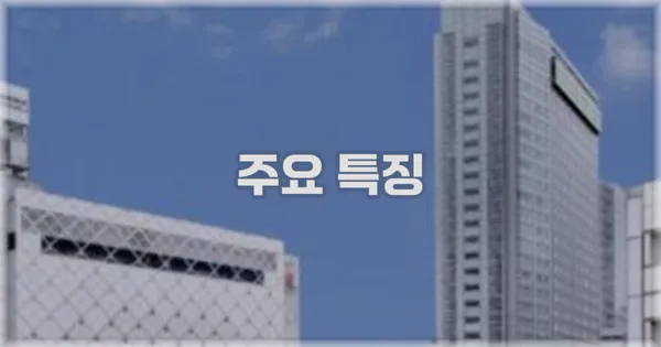 ✨ 주요 특징