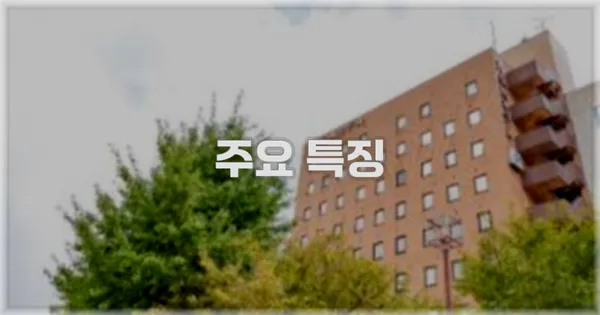 ✨ 주요 특징