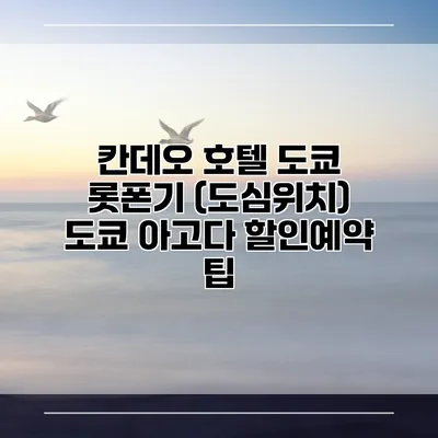 칸데오 호텔 도쿄 롯폰기 (도심위치) 도쿄 아고다 할인예약 팁