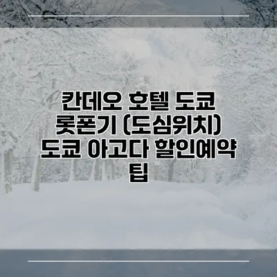 칸데오 호텔 도쿄 롯폰기 (도심위치) 도쿄 아고다 할인예약 팁