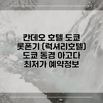 칸데오 호텔 도쿄 롯폰기 (럭셔리호텔) 도쿄 동경 아고다 최저가 예약정보