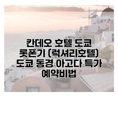 칸데오 호텔 도쿄 롯폰기 (럭셔리호텔) 도쿄 동경 아고다 특가 예약비법