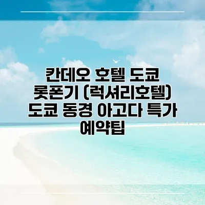 칸데오 호텔 도쿄 롯폰기 (럭셔리호텔) 도쿄 동경 아고다 특가 예약팁