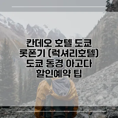 칸데오 호텔 도쿄 롯폰기 (럭셔리호텔) 도쿄 동경 아고다 할인예약 팁