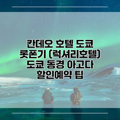 칸데오 호텔 도쿄 롯폰기 (럭셔리호텔) 도쿄 동경 아고다 할인예약 팁