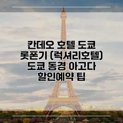 칸데오 호텔 도쿄 롯폰기 (럭셔리호텔) 도쿄 동경 아고다 할인예약 팁