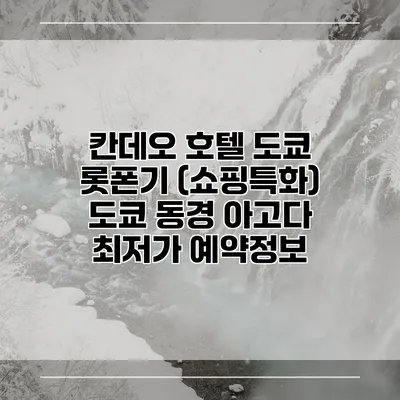 칸데오 호텔 도쿄 롯폰기 (쇼핑특화) 도쿄 동경 아고다 최저가 예약정보