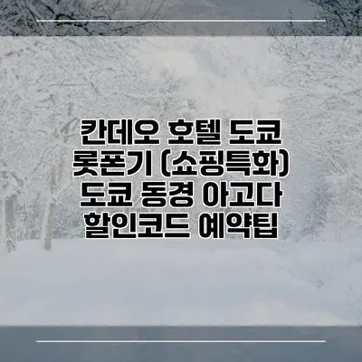칸데오 호텔 도쿄 롯폰기 (쇼핑특화) 도쿄 동경 아고다 할인코드 예약팁
