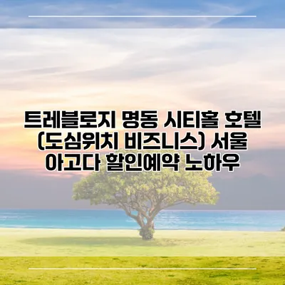 트레블로지 명동 시티홀 호텔 (도심위치 비즈니스) 서울 아고다 할인예약 노하우
