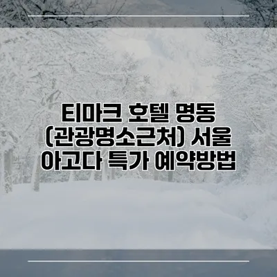 티마크 호텔 명동 (관광명소근처) 서울 아고다 특가 예약방법