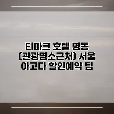 티마크 호텔 명동 (관광명소근처) 서울 아고다 할인예약 팁