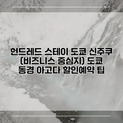 헌드레드 스테이 도쿄 신주쿠 (비즈니스 중심지) 도쿄 동경 아고다 할인예약 팁