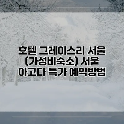 호텔 그레이스리 서울 (가성비숙소) 서울 아고다 특가 예약방법