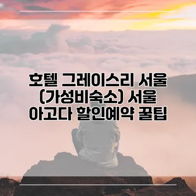 호텔 그레이스리 서울 (가성비숙소) 서울 아고다 할인예약 꿀팁