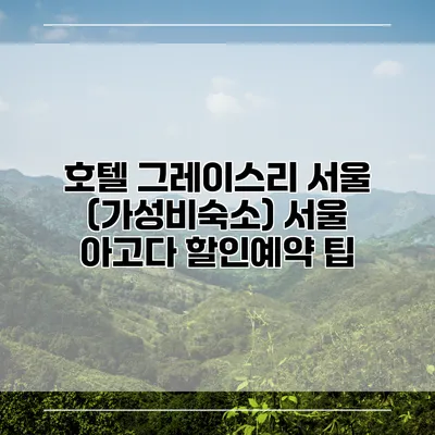 호텔 그레이스리 서울 (가성비숙소) 서울 아고다 할인예약 팁