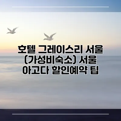 호텔 그레이스리 서울 (가성비숙소) 서울 아고다 할인예약 팁
