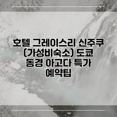 호텔 그레이스리 신주쿠 (가성비숙소) 도쿄 동경 아고다 특가 예약팁