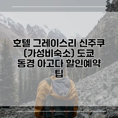 호텔 그레이스리 신주쿠 (가성비숙소) 도쿄 동경 아고다 할인예약 팁