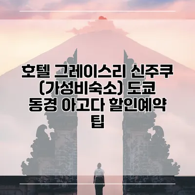 호텔 그레이스리 신주쿠 (가성비숙소) 도쿄 동경 아고다 할인예약 팁