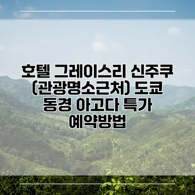 호텔 그레이스리 신주쿠 (관광명소근처) 도쿄 동경 아고다 특가 예약방법